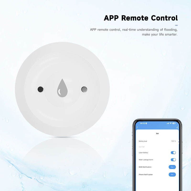 Tuya Zigbee2mqtt Wasser Immers – Water Alarm Sensor Bewertung und Preis