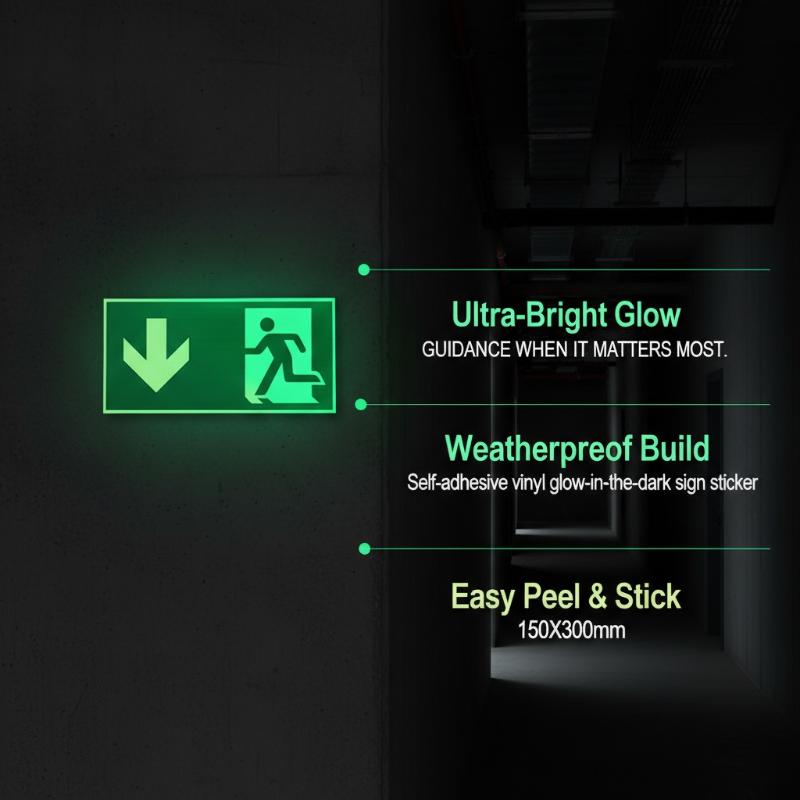 1 Blatt im Dunkeln leuchtende  – Emergency Exit Sign Bewertung und Preis